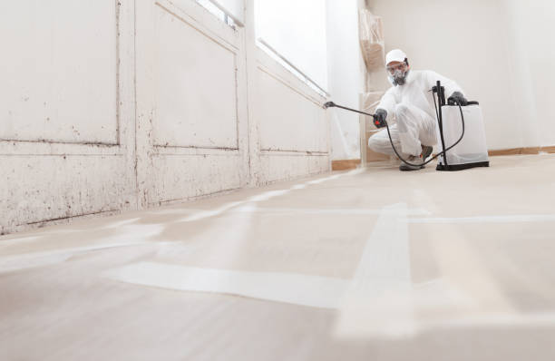 24/7 Emergency Basement Mold Remediation experts in Clinton, MD